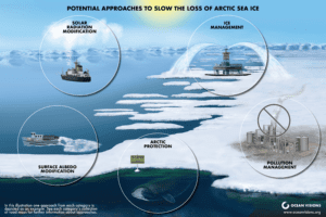 Arctic Sea Ice Illustration