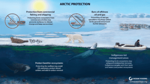 Arctic Protection Illustration