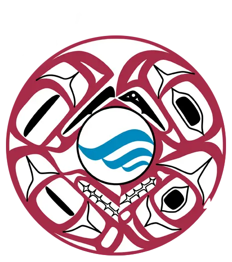 NaNOOS_Logo.png